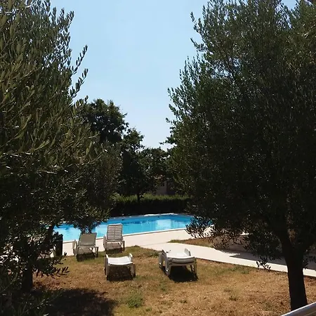 بيت ضيافة Pansion Oliva