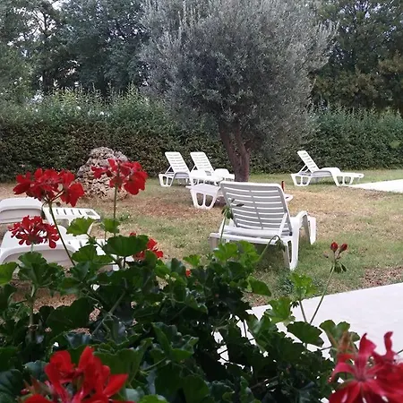 Pansion Oliva Pensjonat 3*