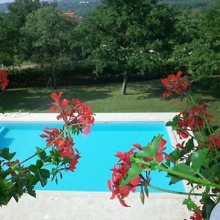 Penzion Pansion Oliva