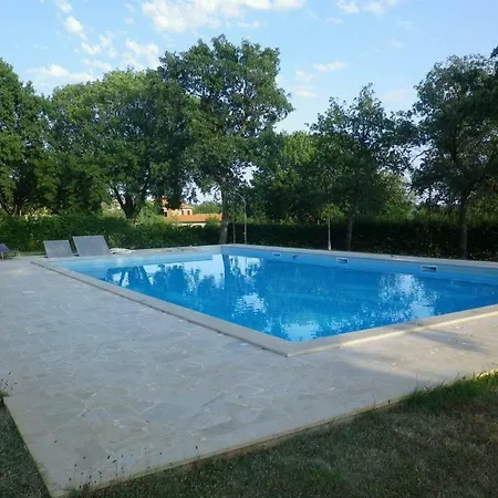 Penzion Pansion Oliva