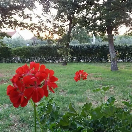 Pansion Oliva Pensjonat Krnica