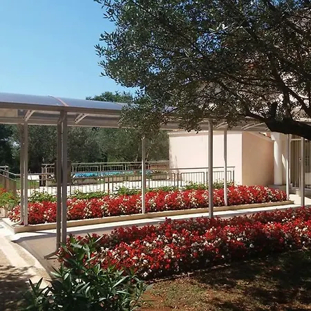 Pansion Oliva Gasthuis Krnica