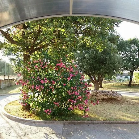 Pansion Oliva Casa de hóspedes 3*