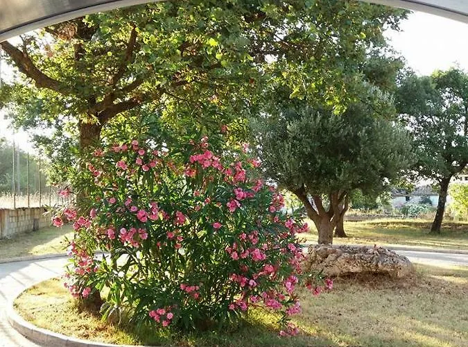 Pansion Oliva Maison d'hôtes 3*